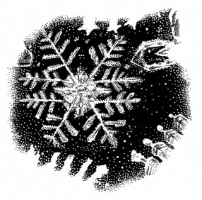 Frogs-and-Fishes-Snowflake